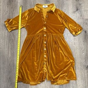 Zara Golden Velvet Dress